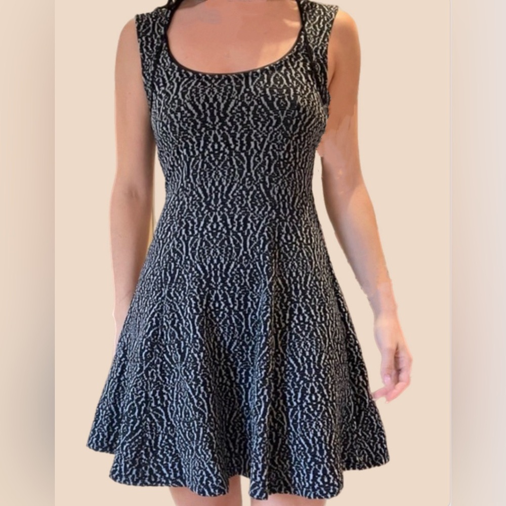 Silence + Noise Black and Grey Fit and Flare Dress